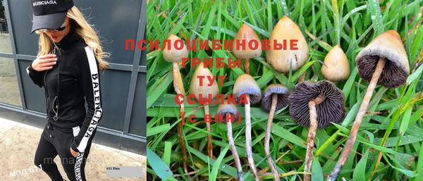 не бодяженный Надым