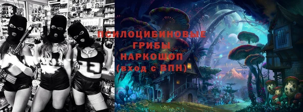 не бодяженный Надым