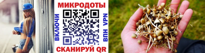Псилоцибиновые грибы Magic Shrooms  Нижняя Салда 