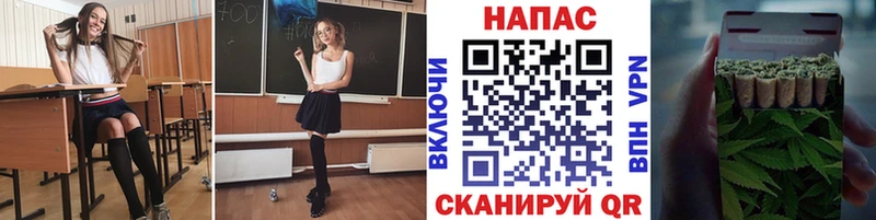 Конопля OG Kush  Нижняя Салда 
